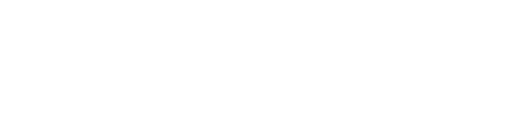 Live Wire Electric Ltd